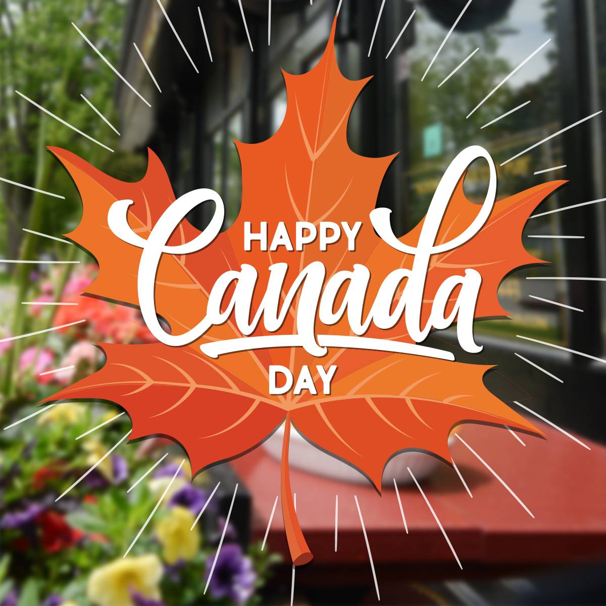 Canada Day at The Irish Harp Pub