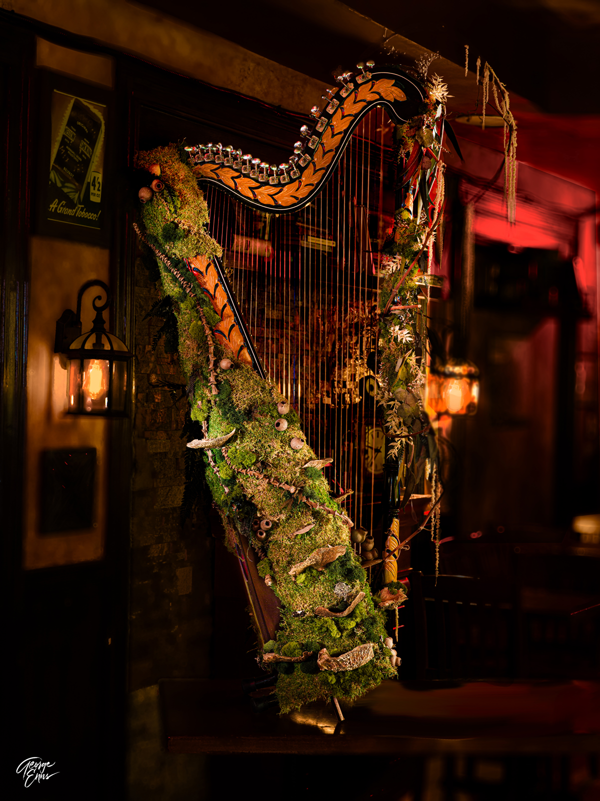 The Harp's Harp